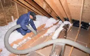 insulation removal services